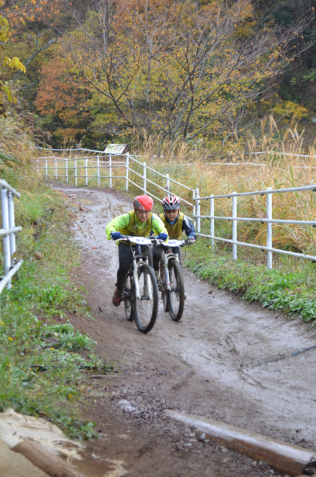 %_tempFileNameDSC_0141%