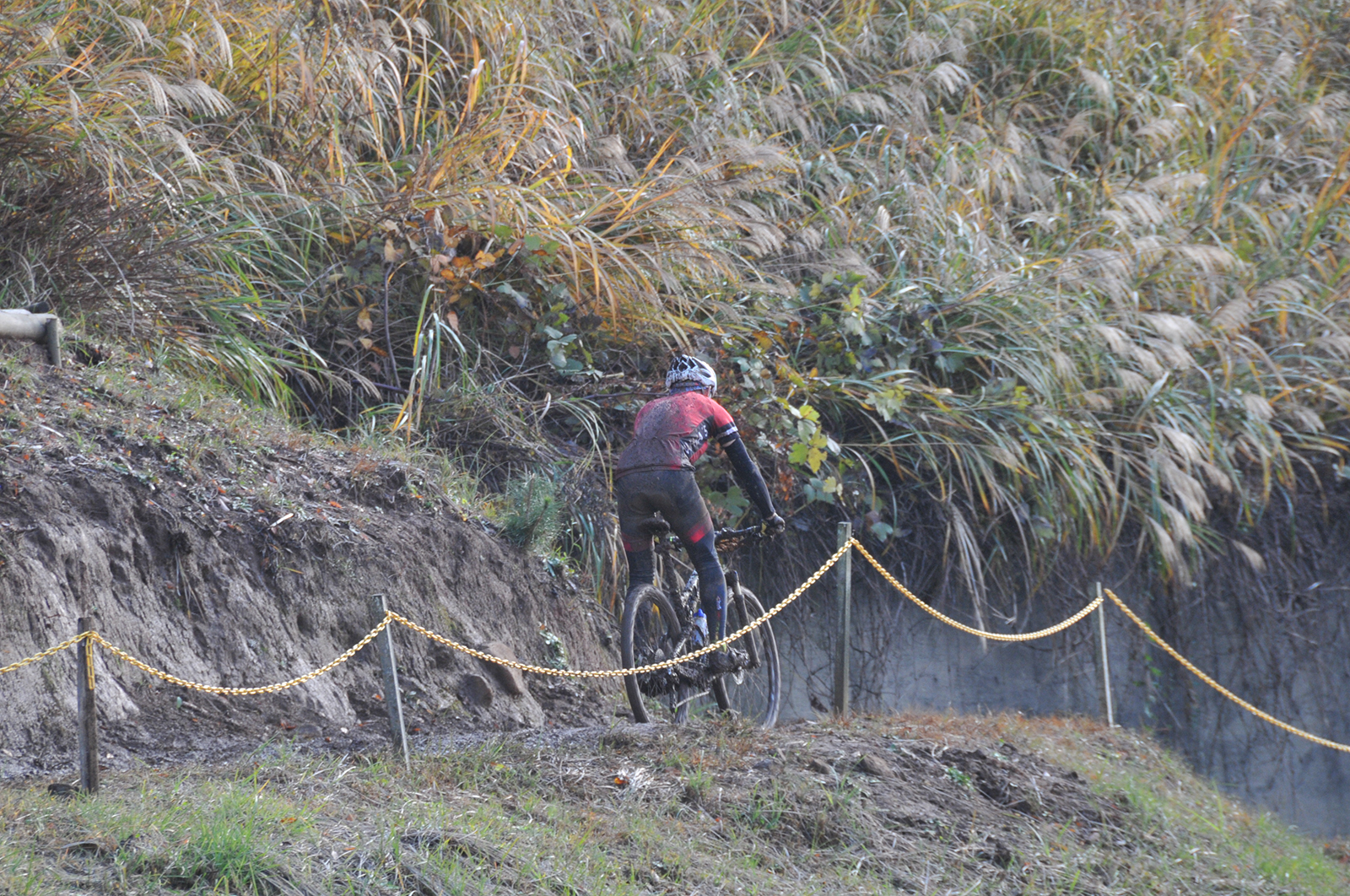 %_tempFileNameDSC_0177%