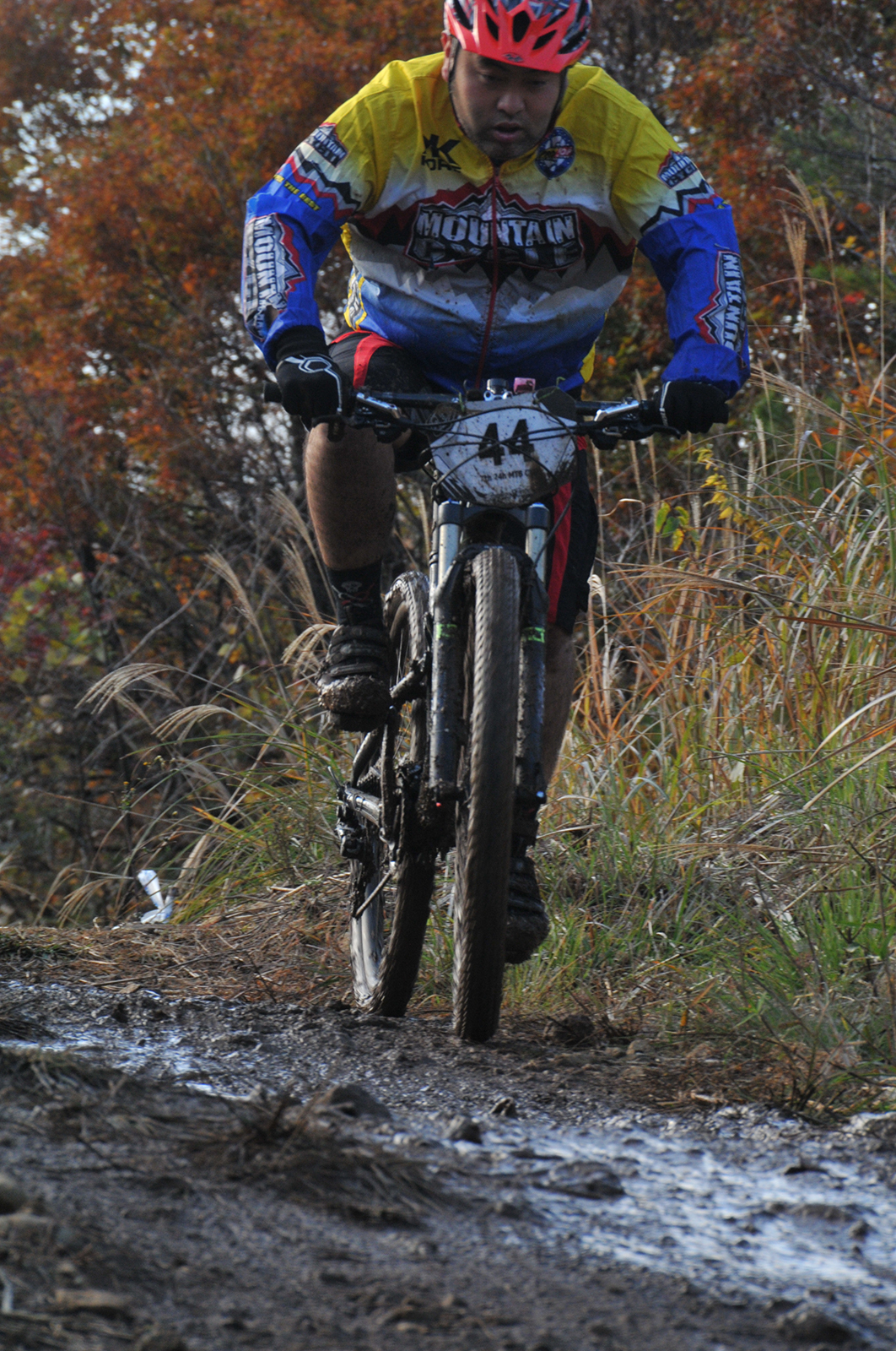 %_tempFileNameDSC_0179%