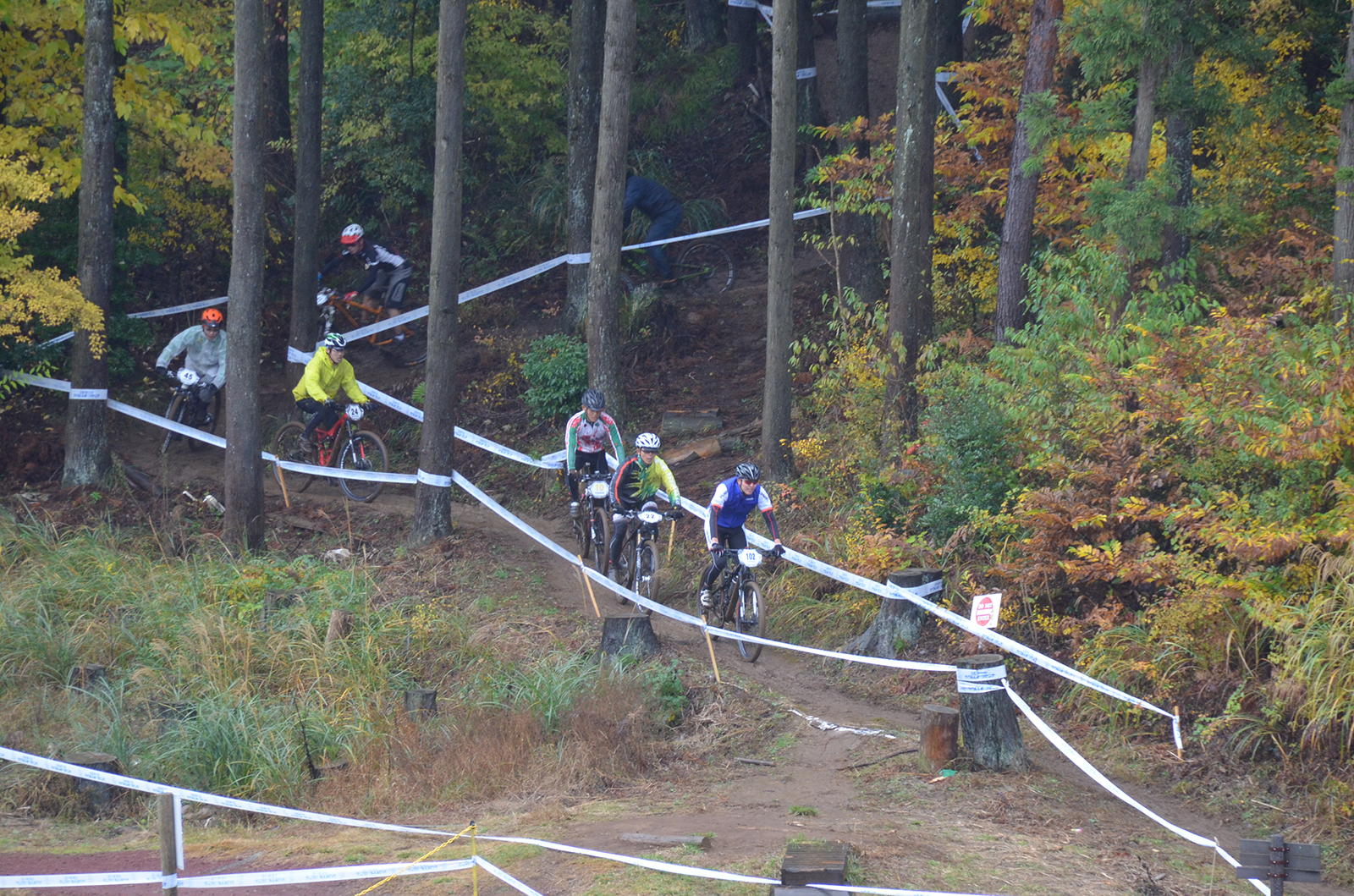 %_tempFileNameDSC_0201%