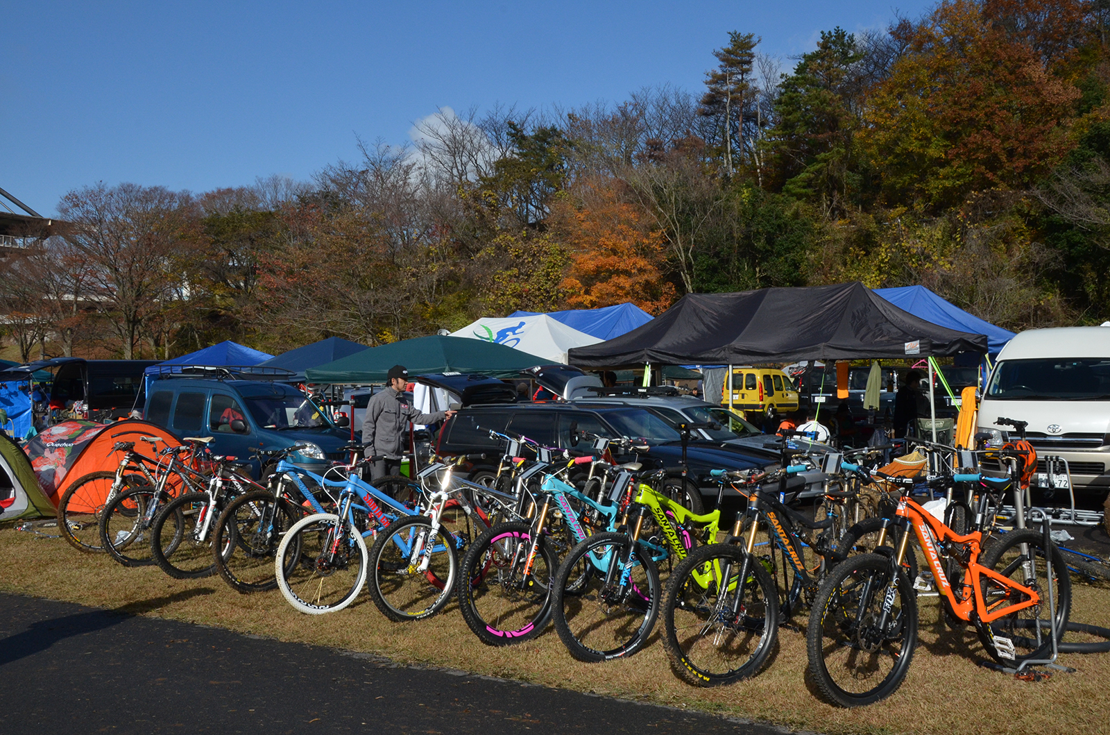 %_tempFileNameDSC_0895%